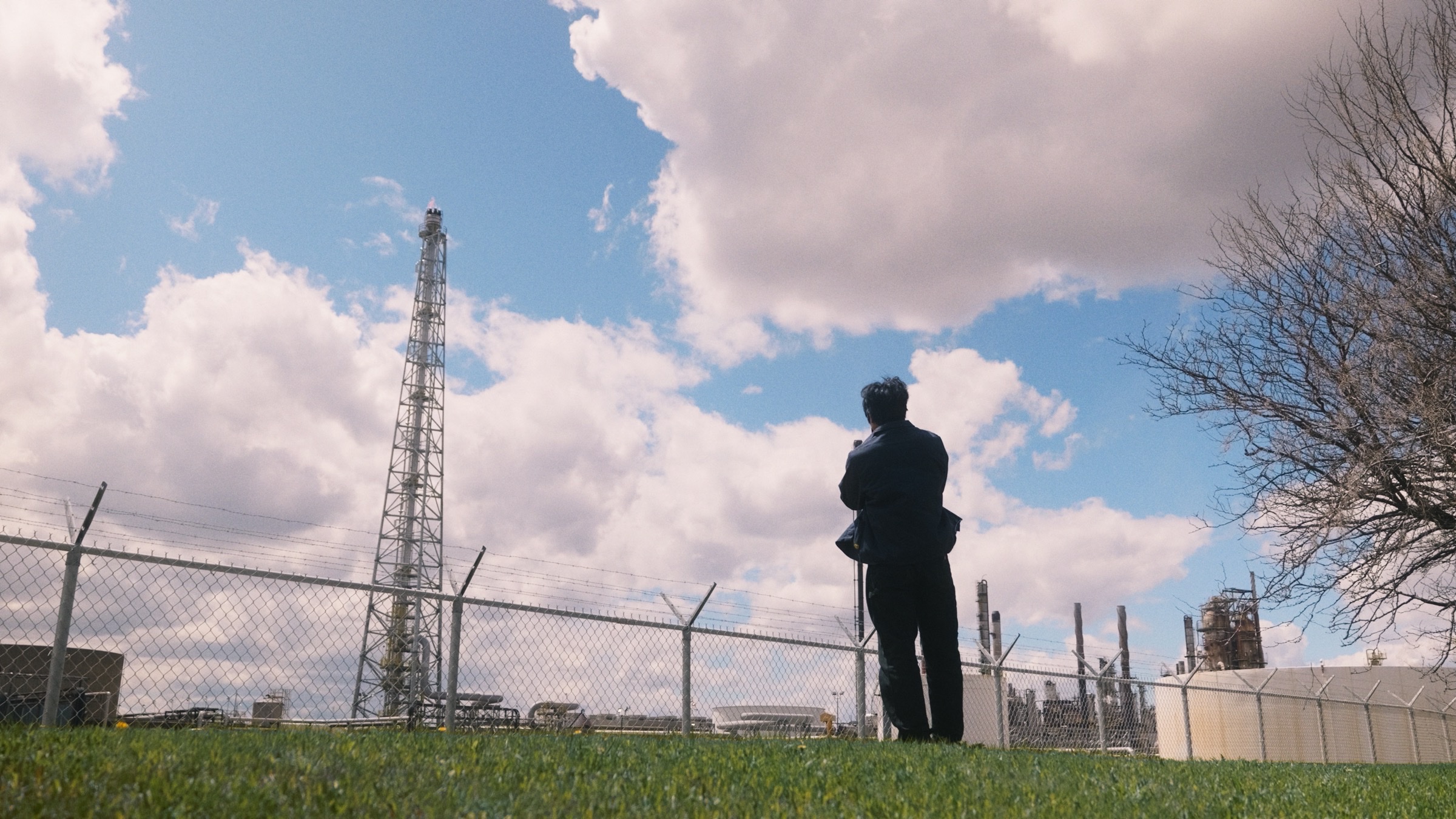 Still from Flawed Mangoes — Charts